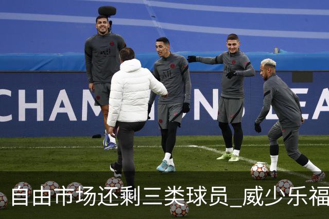 自由市场还剩三类球员 威少乐福领衔失业大军？